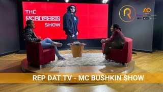 Mc Bushkin Show